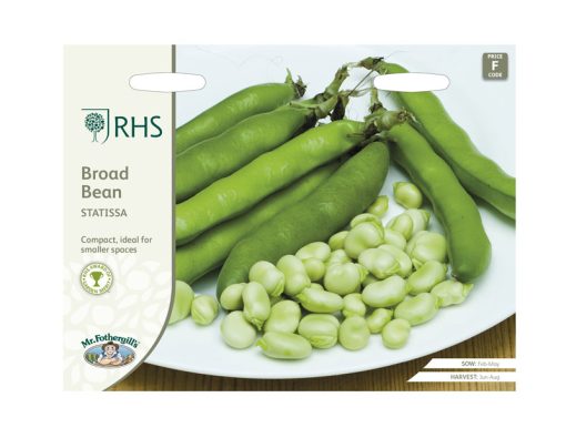 MR FOTHERGILL'S BROAD BEAN STATISSA