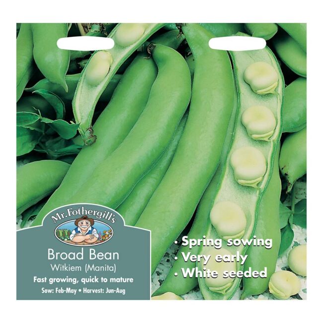 MR FOTHERGILL'S - BROAD BEAN WITKIEM (MANITA) SEEDS