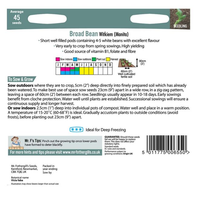 MR FOTHERGILL'S - BROAD BEAN WITKIEM (MANITA) SEEDS - Image 2
