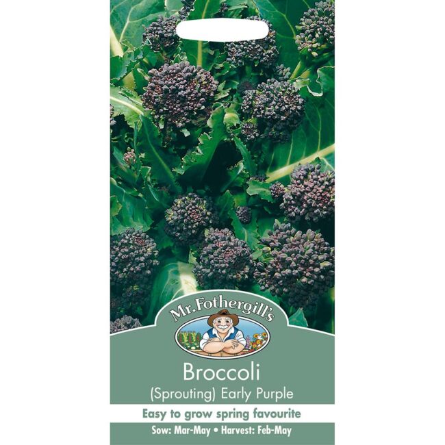 MR FOTHERGILL'S - BROCCOLI SPROUTING EARLY PURPLE SEEDS