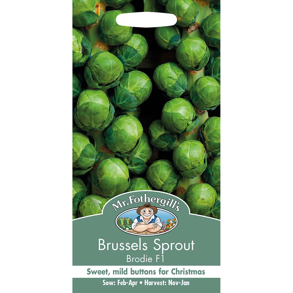 MR FOTHERGILL'S - BRUSSELS SPROUT BRODIE F1 SEEDS