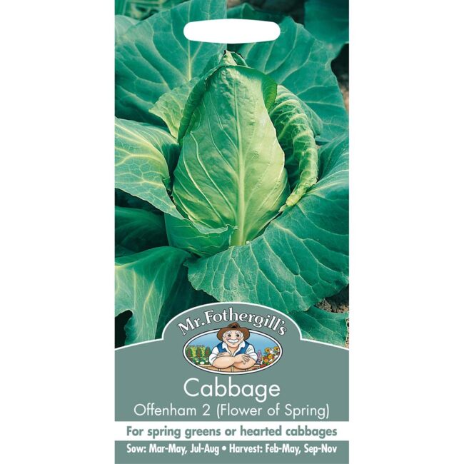 MR FOTHERGILL'S - CABBAGE OFFENHAM 2 FLOWER SP SEEDS