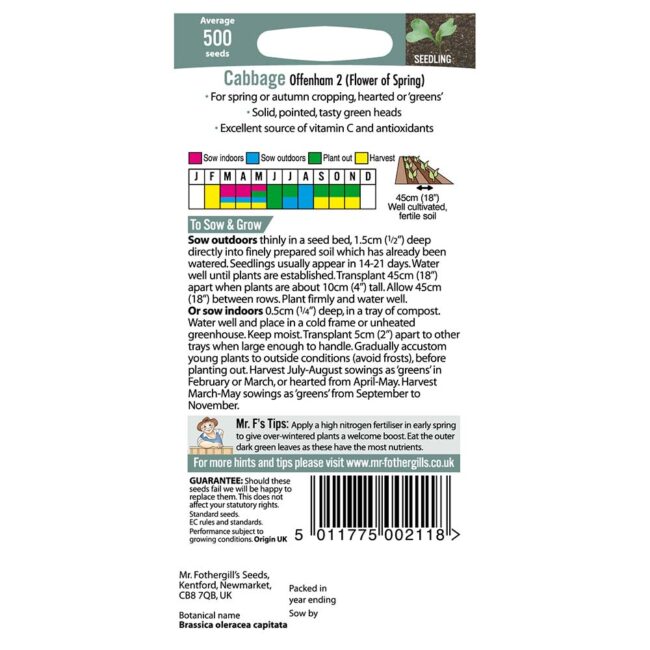 MR FOTHERGILL'S - CABBAGE OFFENHAM 2 FLOWER SP SEEDS - Image 2