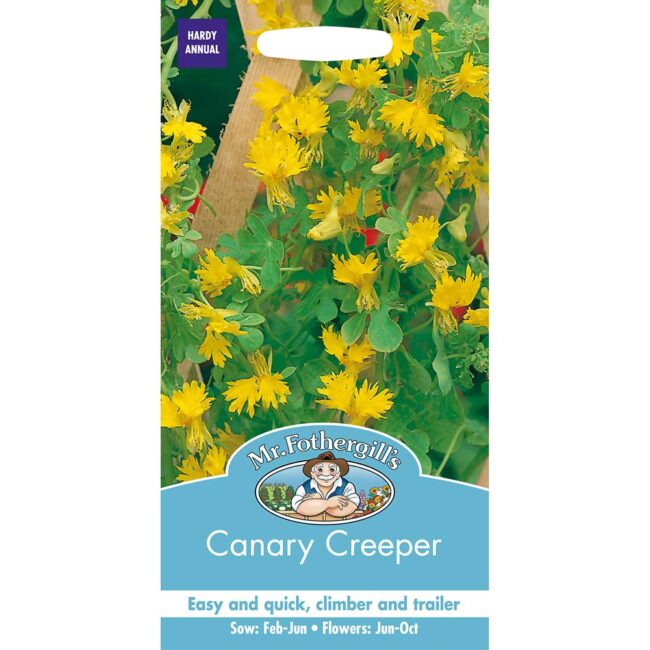 MR FOTHERGILL'S - CANARY CREEPER SEEDS