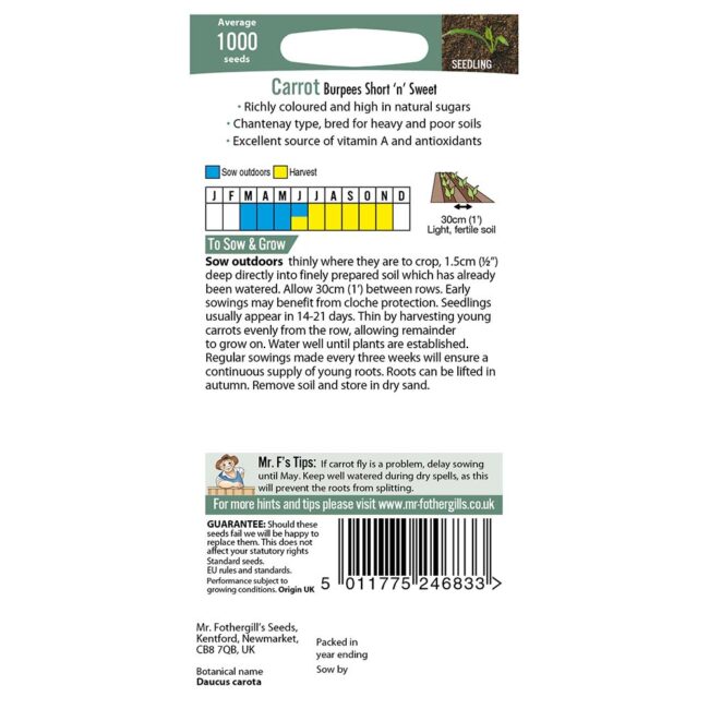 MR FOTHERGILL'S - CARROT BURPEES SHORT N SWEET SEEDS - Image 2