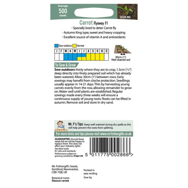 MR FOTHERGILL'S - CARROT FLYAWAY F1 SEEDS - Image 2
