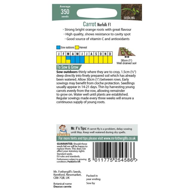 MR FOTHERGILL'S - CARROT NORFOLK F1 SEEDS - Image 2