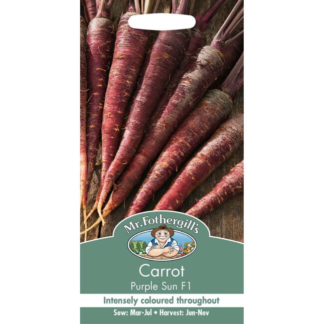 MR FOTHERGILL'S - CARROT PURPLE SUN F1 SEEDS