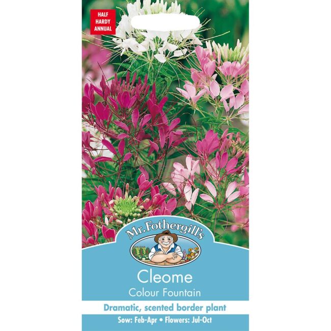 MR FOTHERGILL'S - CLEOME COLOUR FOUNTAIN SEEDS
