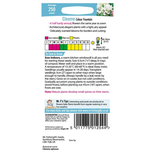 MR FOTHERGILL'S - CLEOME COLOUR FOUNTAIN SEEDS - Image 2