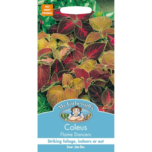 MR FOTHERGILL'S - COLEUS FLAME DANCERS SEEDS
