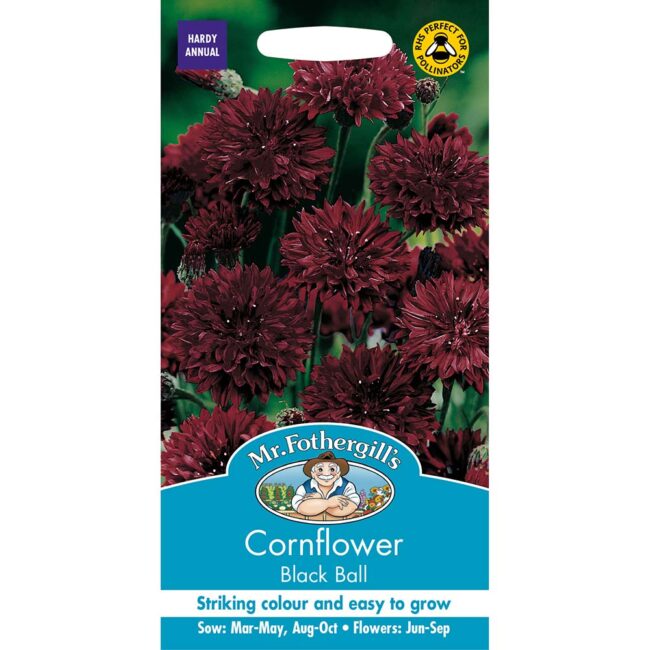 MR FOTHERGILL'S - CORNFLOWER BLACK BALL SEEDS