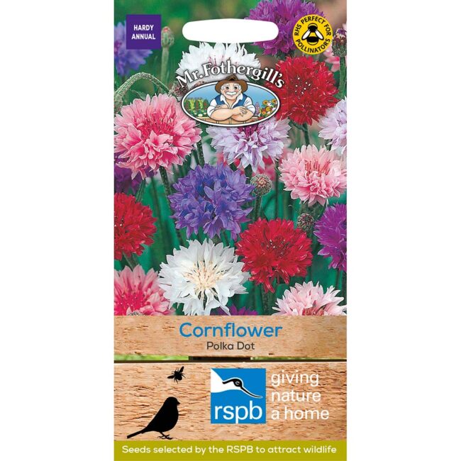 MR FOTHERGILL'S - CORNFLOWER POLKA DOT SEEDS