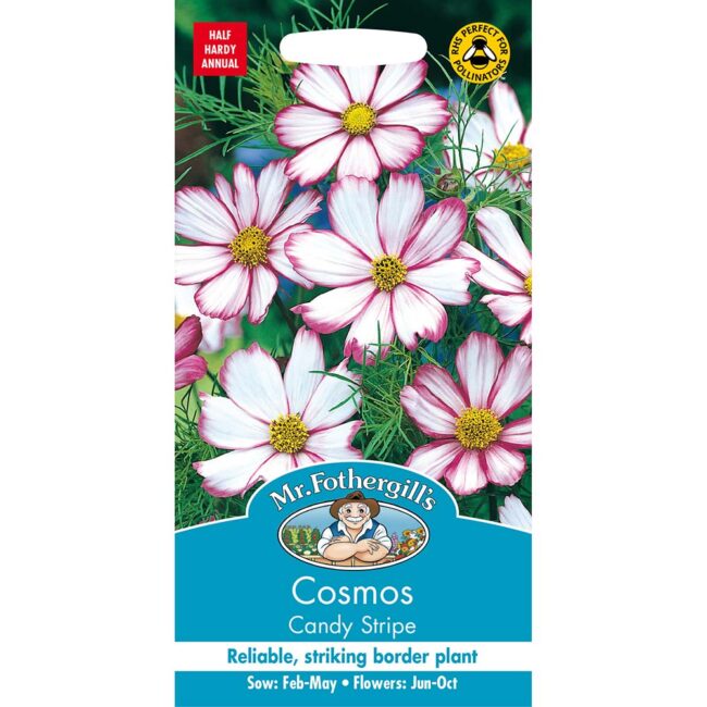 MR FOTHERGILL'S - COSMOS CANDY STRIPE SEEDS