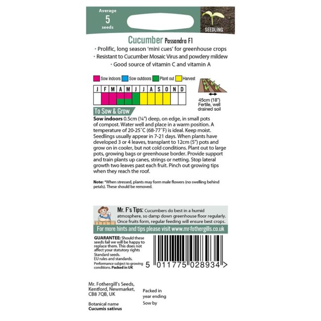 MR FOTHERGILL'S - CUCUMBER PASSANDRA F1 SEEDS - Image 2