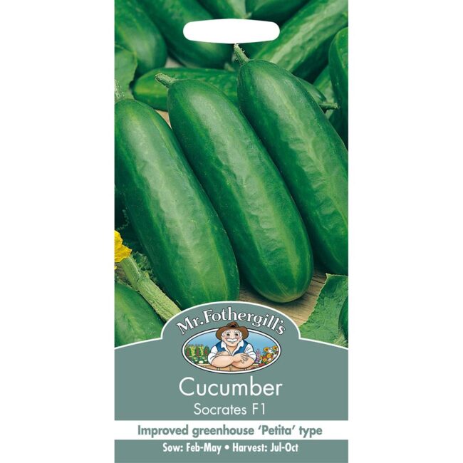 MR FOTHERGILL'S - CUCUMBER SOCRATES F1 SEEDS