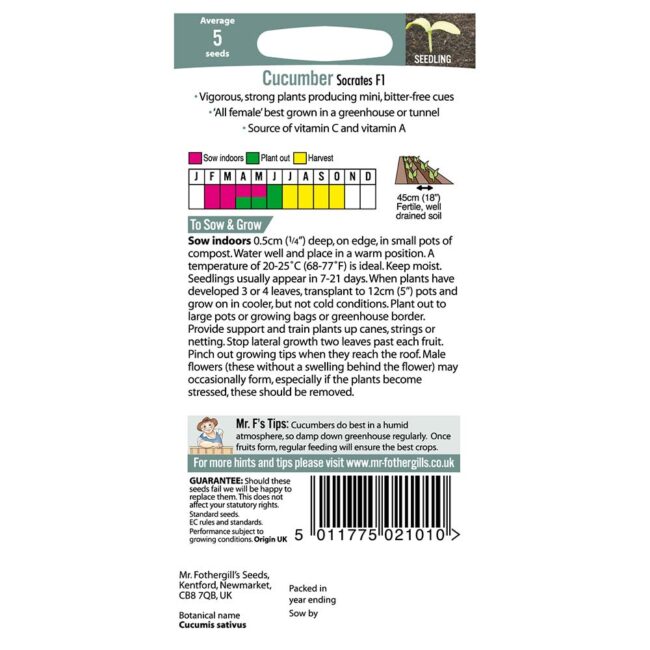 MR FOTHERGILL'S - CUCUMBER SOCRATES F1 SEEDS - Image 2