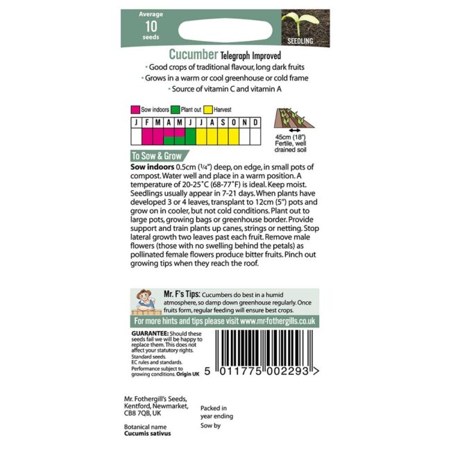 MR FOTHERGILL'S - CUCUMBER TELEGRAPH IMPROVED SEEDS - Image 2
