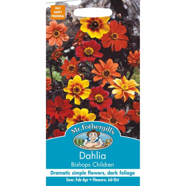 MR FOTHERGILL'S - DAHLIA BISHOPS CHILDREN SEEDS