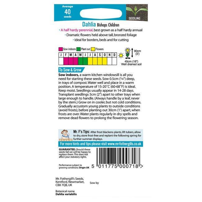 MR FOTHERGILL'S - DAHLIA BISHOPS CHILDREN SEEDS - Image 2