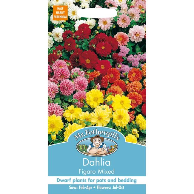 MR FOTHERGILL'S - DAHLIA FIGARO MIXED SEEDS
