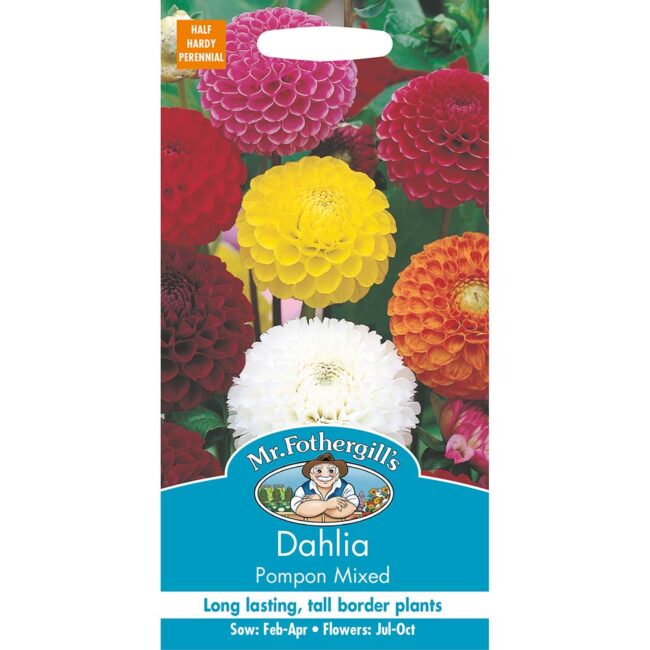 MR FOTHERGILL'S - DAHLIA POMPON MIXED SEEDS