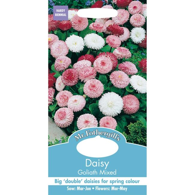 MR FOTHERGILL'S - DAISY GOLIATH MIXED SEEDS