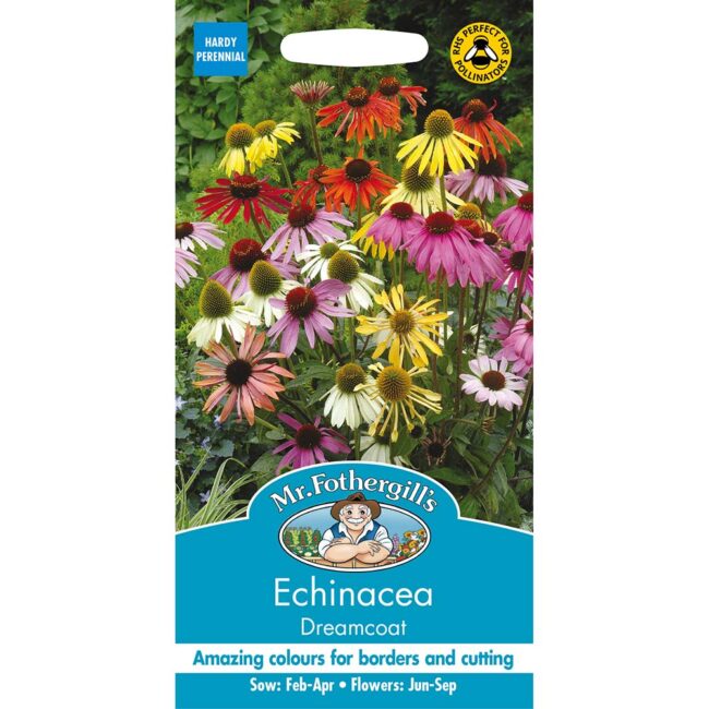 MR FOTHERGILL'S - ECHINACEA DREAMCOAT SEEDS