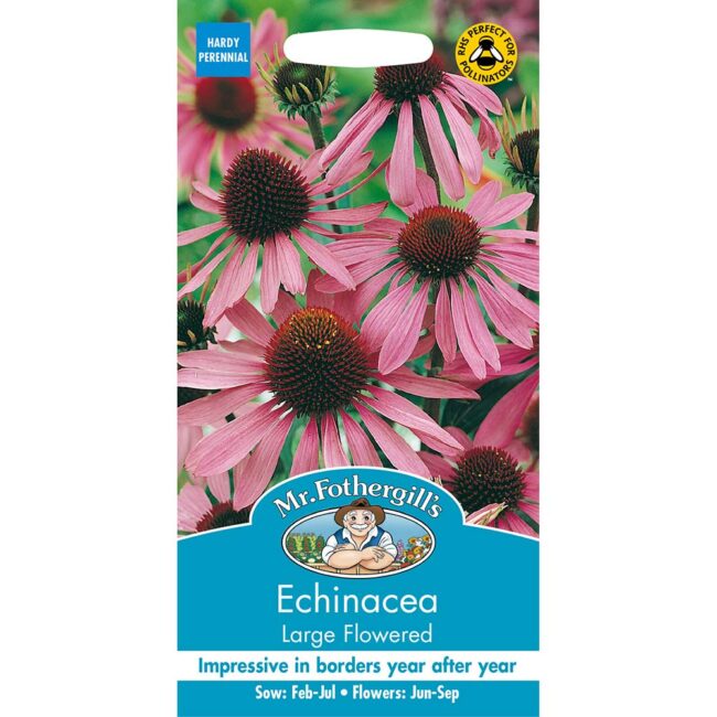 MR FOTHERGILL'S - ECHINACEA LARGE FLOWERED SEEDS