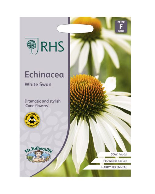 MR FOTHERGILL'S ECHINACEA PURPEREA WHITE SWAN