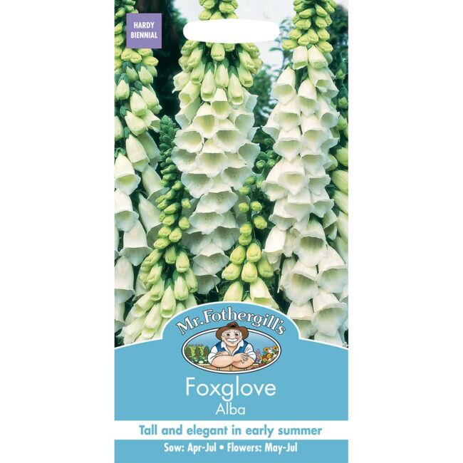 MR FOTHERGILL'S - FOXGLOVE ALBA SEEDS