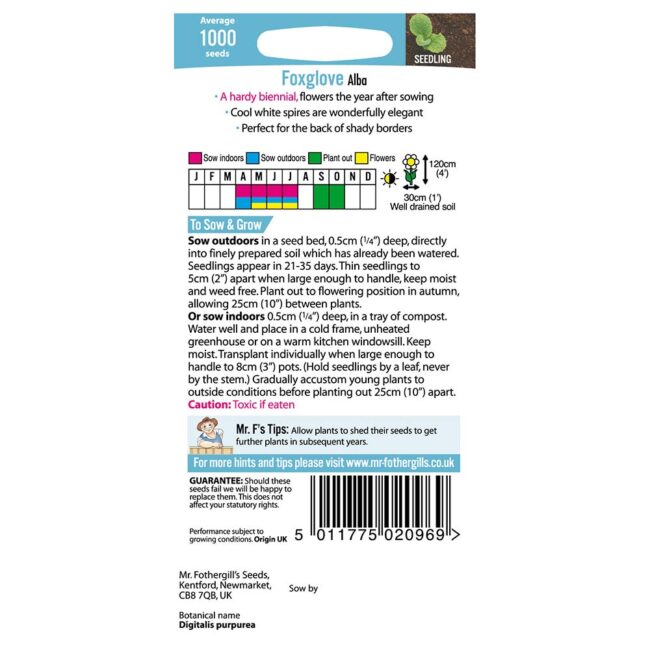 MR FOTHERGILL'S - FOXGLOVE ALBA SEEDS - Image 2