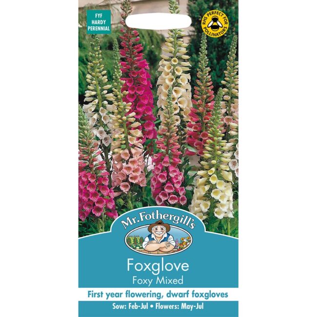 MR FOTHERGILL'S - FOXGLOVE FOXY MIXED SEEDS