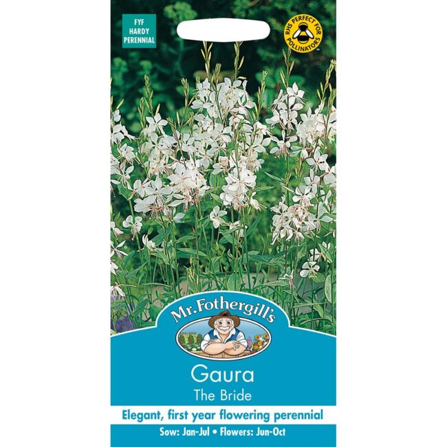 MR FOTHERGILL'S - GAURA THE BRIDE SEEDS