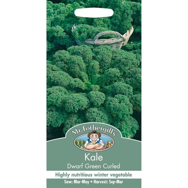 MR FOTHERGILL'S - KALE DWARF GREEN CURLED SEEDS