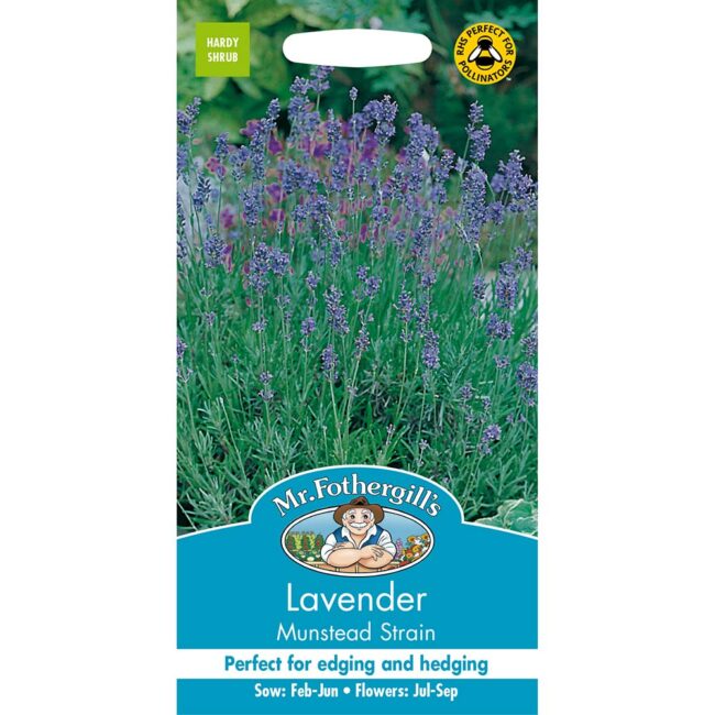 MR FOTHERGILL'S - LAVENDER MUNSTEAD SEEDS