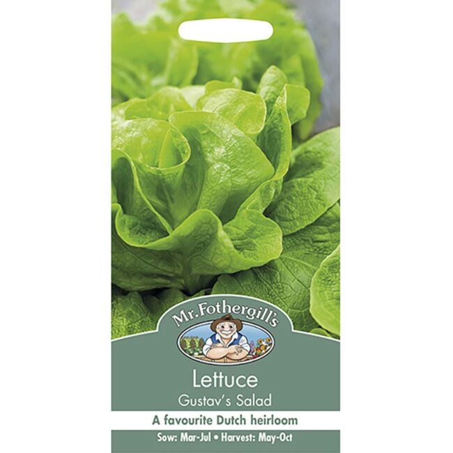 MR FOTHERGILL'S - LETTUCE GUSTAVS SALAD SEEDS