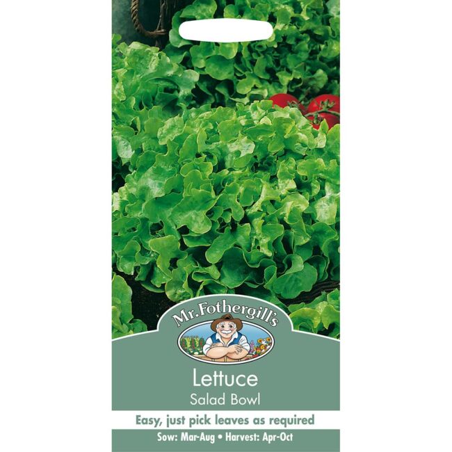MR FOTHERGILL'S - LETTUCE SALAD BOWL SEEDS
