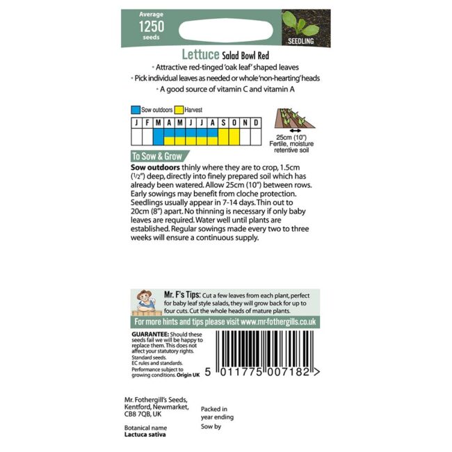 MR FOTHERGILL'S - LETTUCE SALAD BOWL RED SEEDS - Image 2
