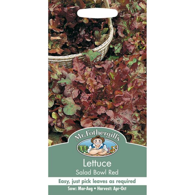 MR FOTHERGILL'S - LETTUCE SALAD BOWL RED SEEDS