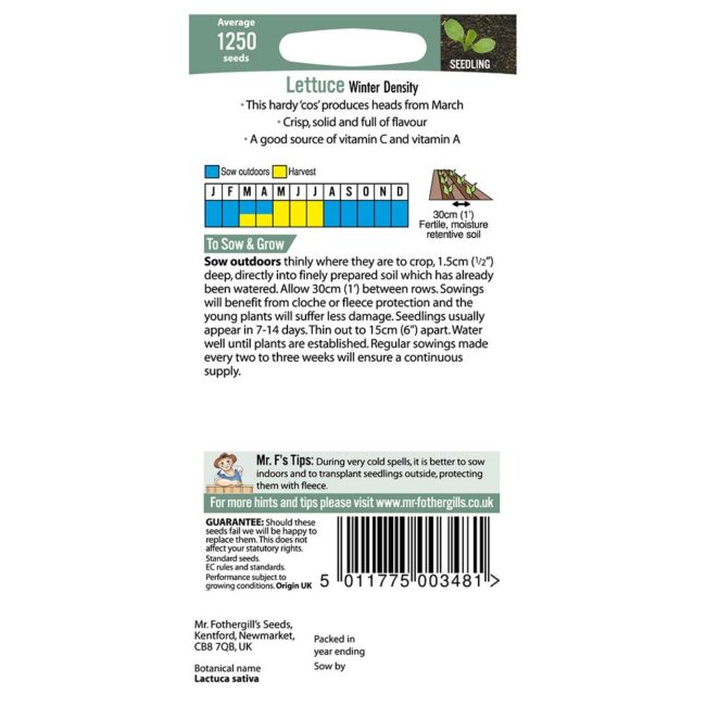 MR FOTHERGILL'S - LETTUCE WINTER DENSITY SEEDS - Image 2