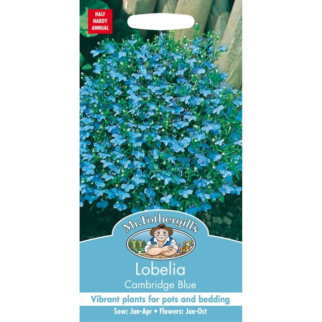 MR FOTHERGILL'S - LOBELIA CAMBRIDGE BLUE SEEDS
