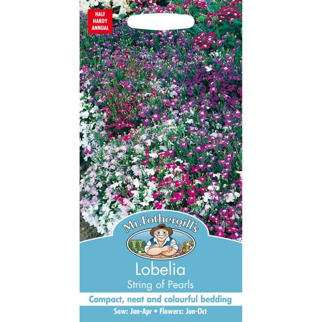 MR FOTHERGILL'S - LOBELIA STRING OF PEARLS SEEDS