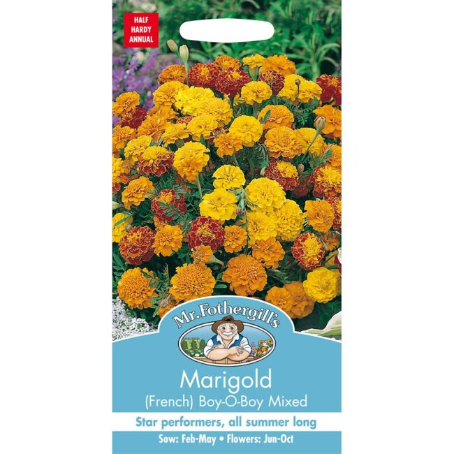 MR FOTHERGILL'S - MARIGOLD FRENCH BOY O BOY MIX SEEDS