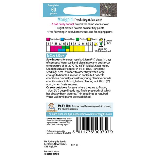 MR FOTHERGILL'S - MARIGOLD FRENCH BOY O BOY MIX SEEDS - Image 2