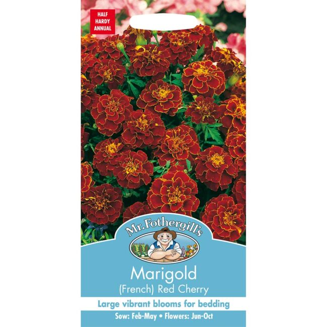 MR FOTHERGILL'S - MARIGOLD FRENCH RED CHERRY SEEDS