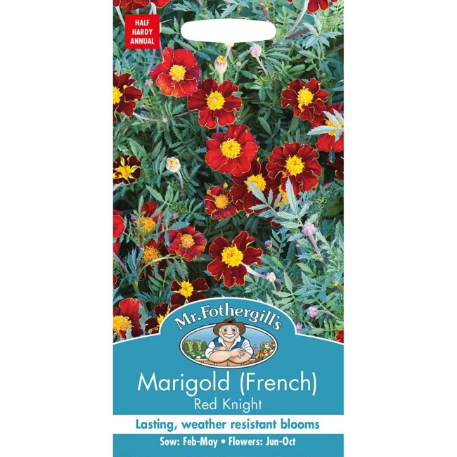 MR FOTHERGILL'S - MARIGOLD FRENCH RED KNIGHT SEEDS