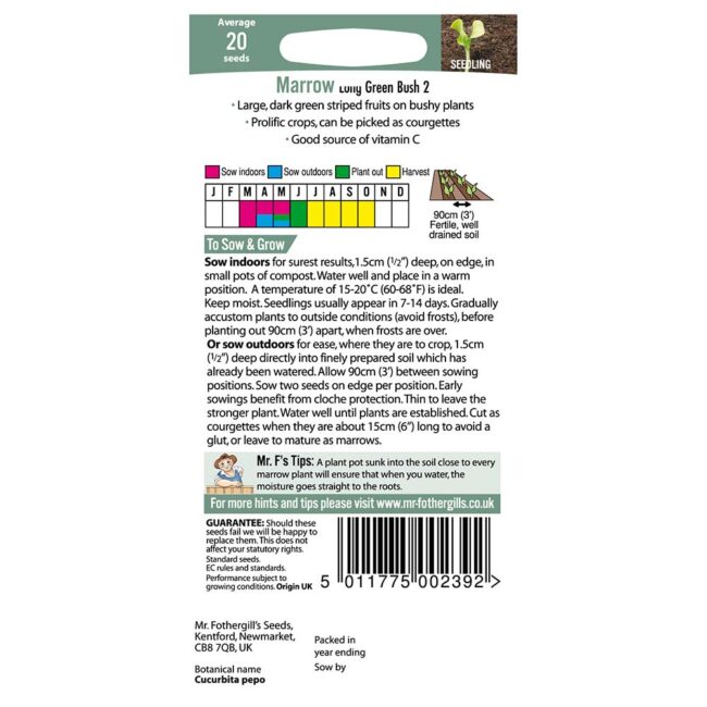MR FOTHERGILL'S - MARROW LONG GREEN BUSH 2 SEEDS - Image 2