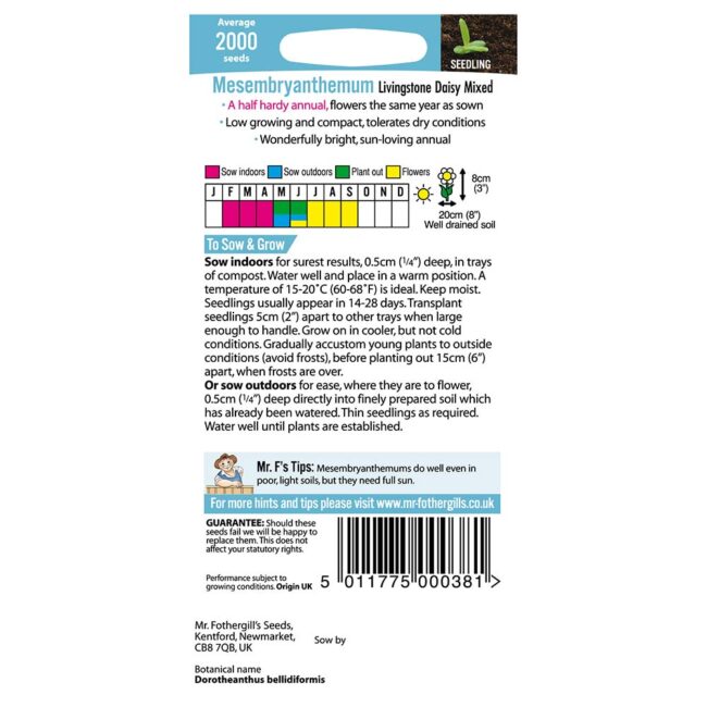 MR FOTHERGILL'S - MESEMBRYANTHEMUM LIVINGSTONE SEEDS - Image 2