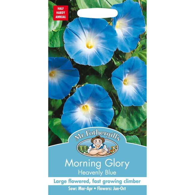 MR FOTHERGILL'S - MORNING GLORY HEAVENLY BLUE SEEDS
